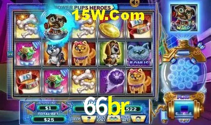 66br,66br app